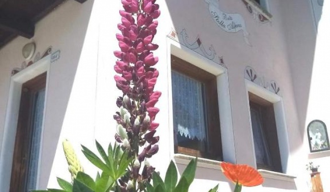 Baita Stella Alpina