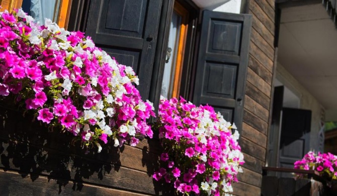 Casa Faifer mountain holiday Livigno