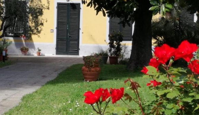 Casa Magnolia