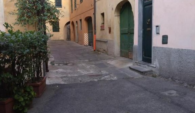 Casa Nocchi