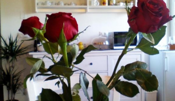 Dimora San Lazzaro B&B