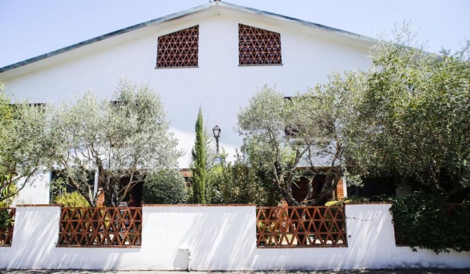 Enzo’s House