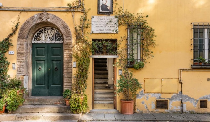 La terrazza di Sofia