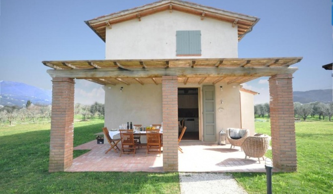 Podere di Piero