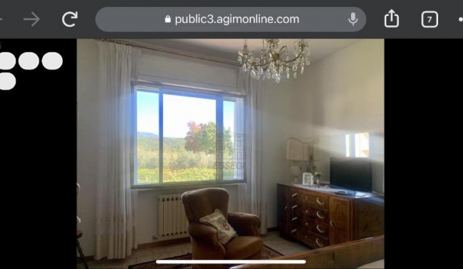 Villa novi
