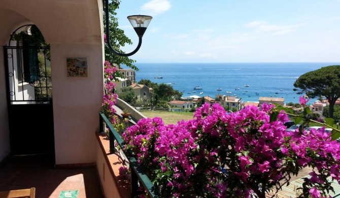 Casa Vacanze Bouganvillea