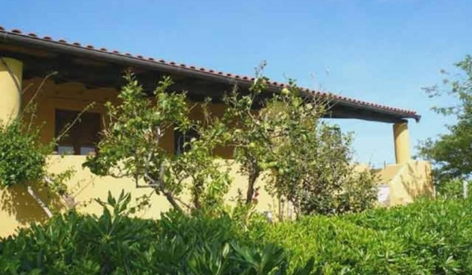 la casa di titti e jack