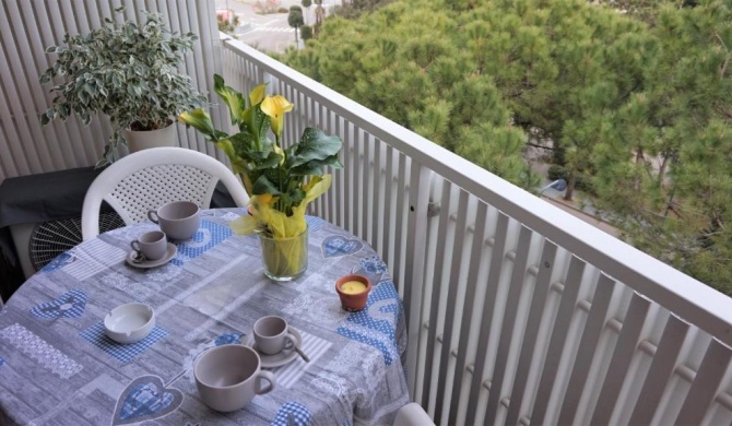 Spacious apartment with terrace in a quiet area in the centre of Lignano Pineta