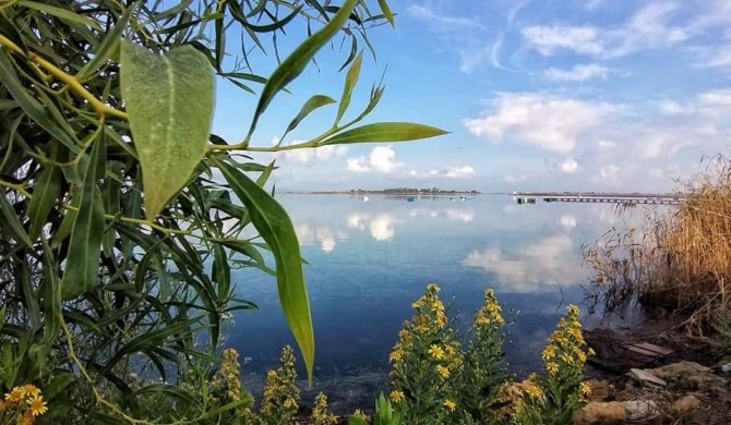 Stagione e relax